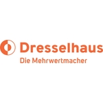 Dresselhaus Ringzunge isoliert, 100 Stk.