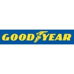 Goodyear 195/50 R 16 88 V Efficient Grip Performance 2 XL TL