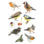 HERMA Adesivo, per uccelli ad acquerello